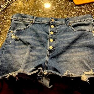 Express Mom Shorts Button Up